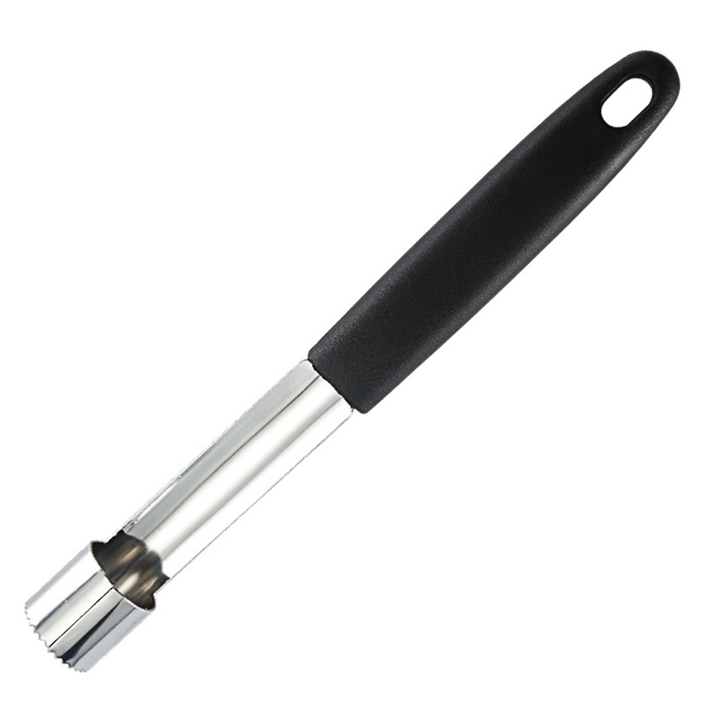 أداة إزالة قلب الفاكهة من الفو - مراجعة Cherry Pitter Tool وسعره