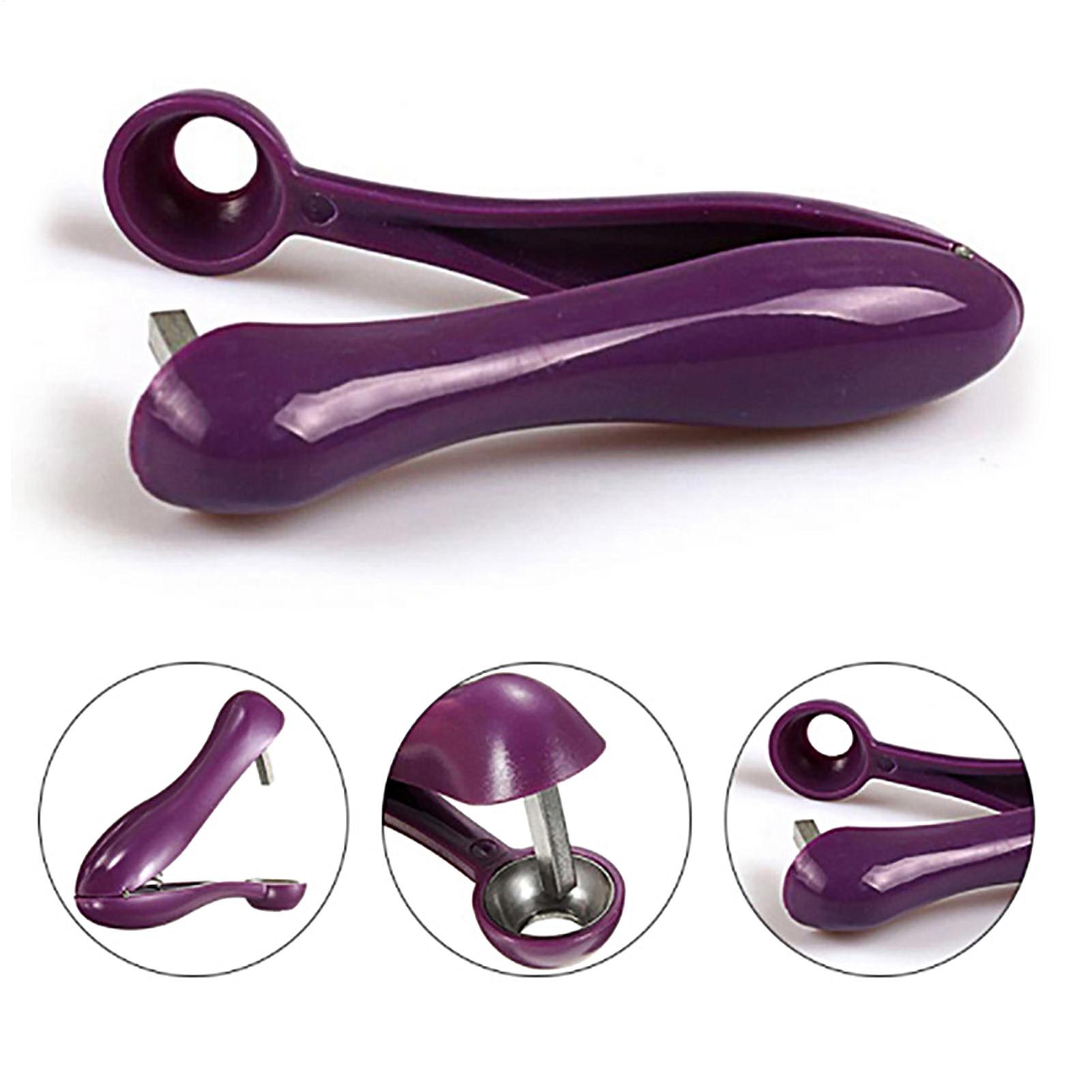 أداة محمولة لإزالة نوى الكرز و - مراجعة Cherry Pitter Tool وسعره