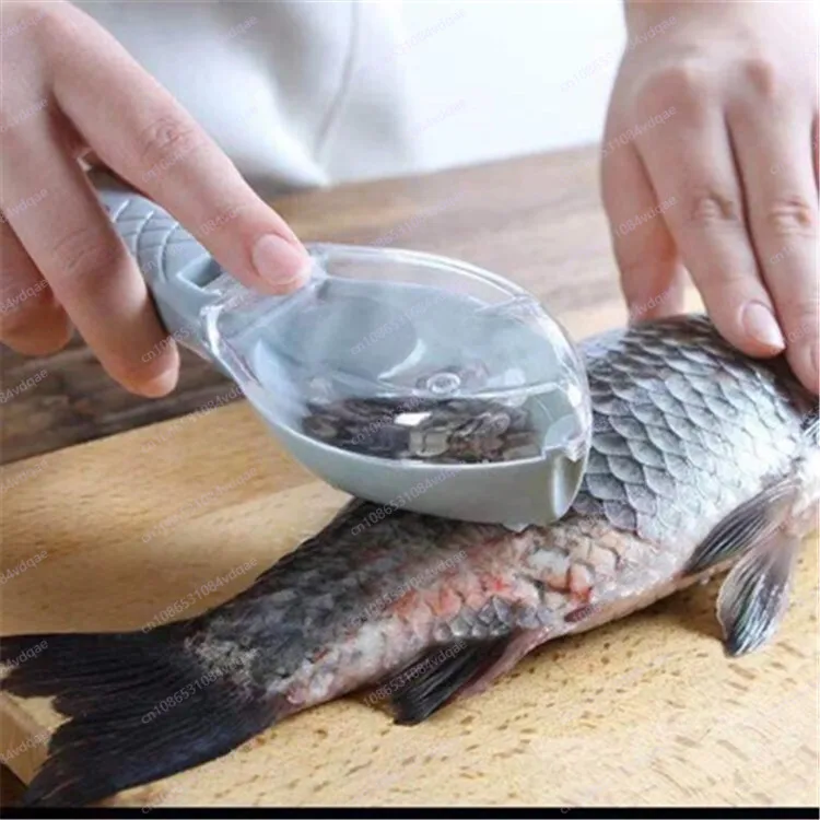 قطعة أثرية كشط مقياس السمك الش - مراجعة Kitchen Gadgets Popular وسعره